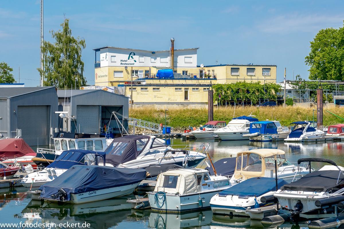 Hotel Rheingold Gernsheim Extérieur photo