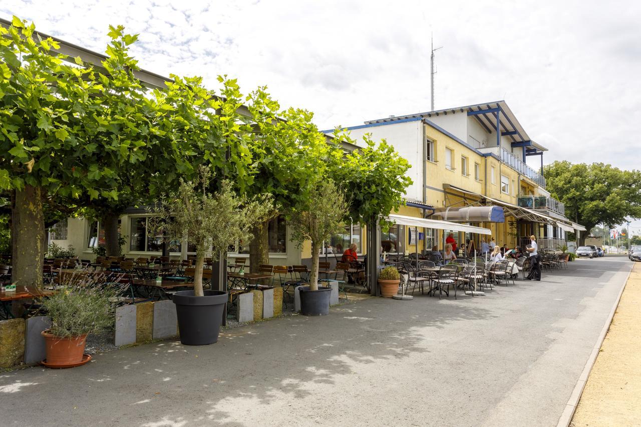 Hotel Rheingold Gernsheim Extérieur photo