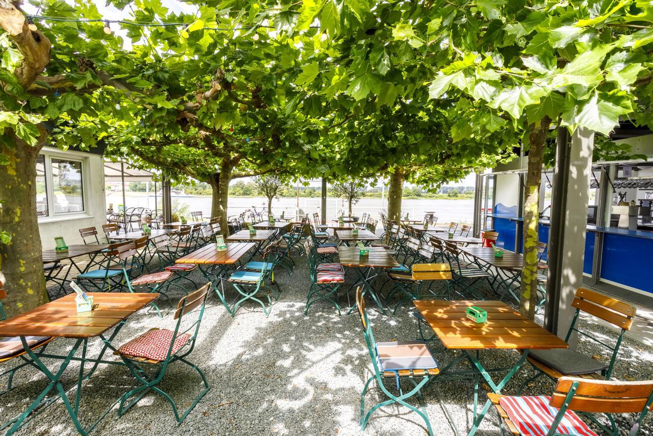Hotel Rheingold Gernsheim Extérieur photo